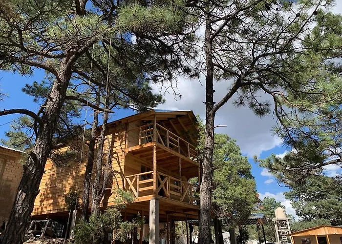 Cabanas El Pino 3