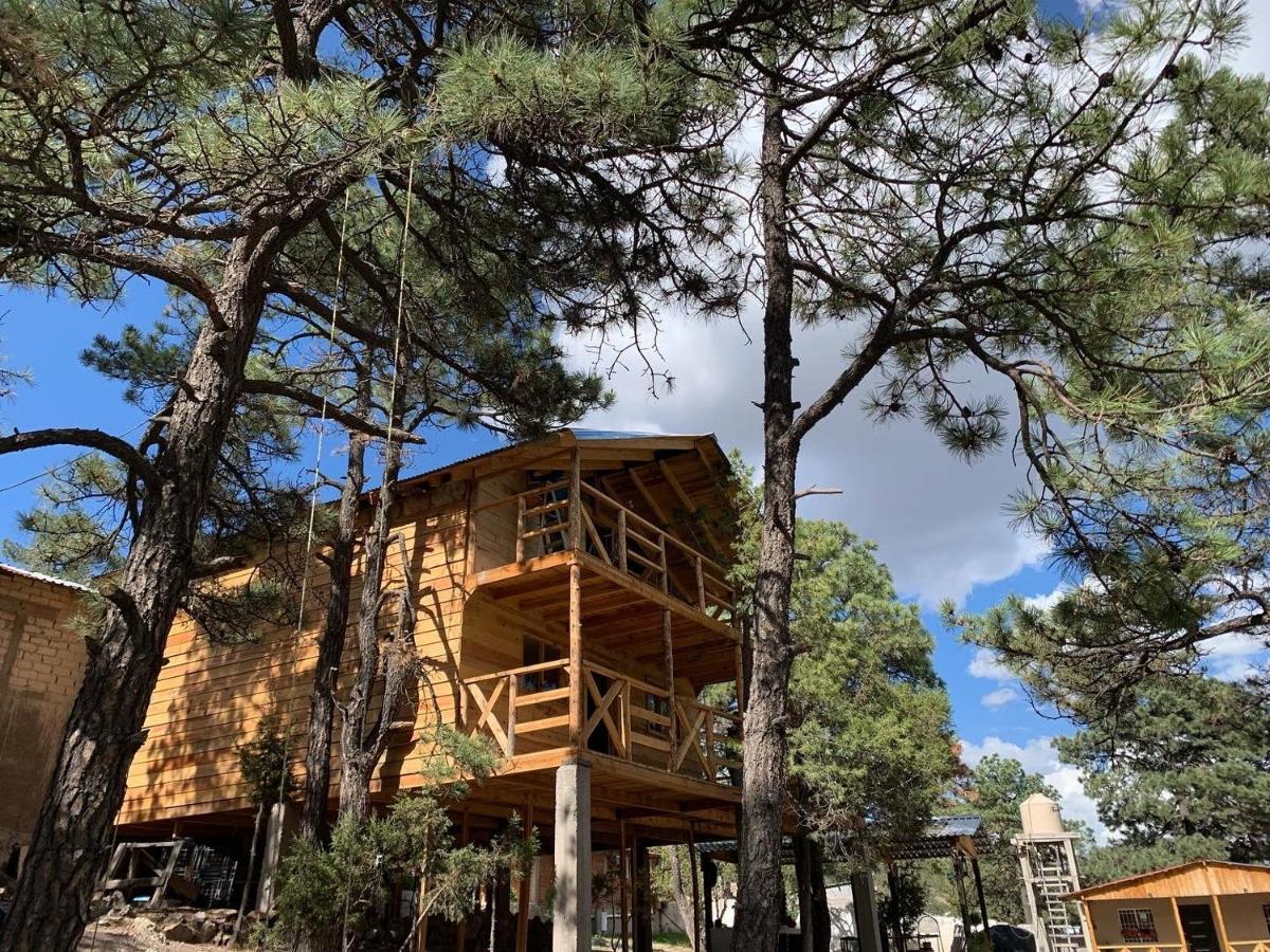 El Pino 3 * Creel