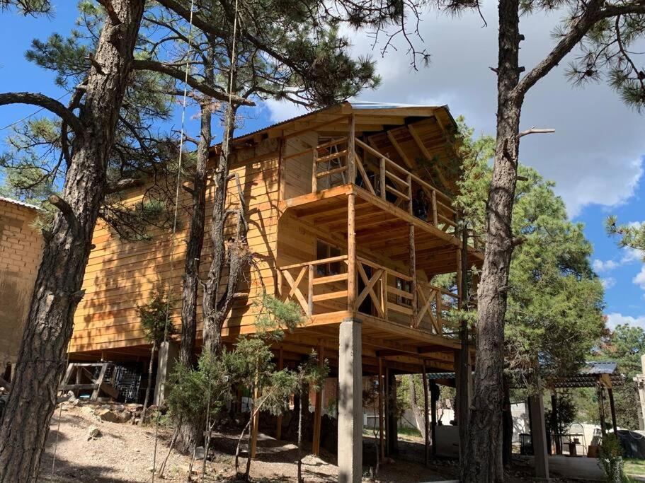 El Pino 3 Holiday home